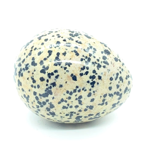 Image of Solid Dalmatian Jasper Egg