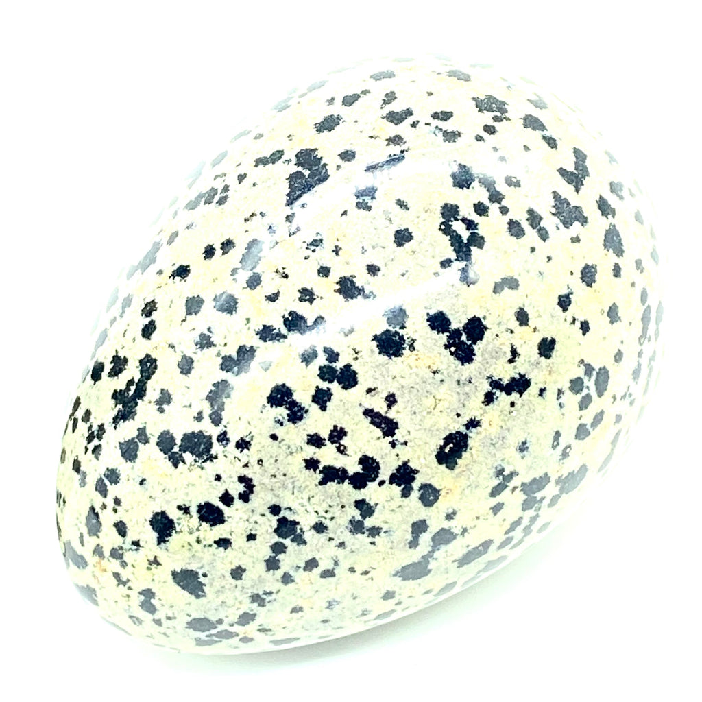 Solid Dalmatian Jasper Egg