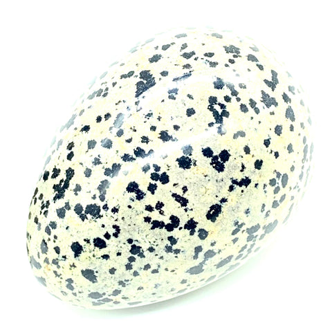 Image of Solid Dalmatian Jasper Egg